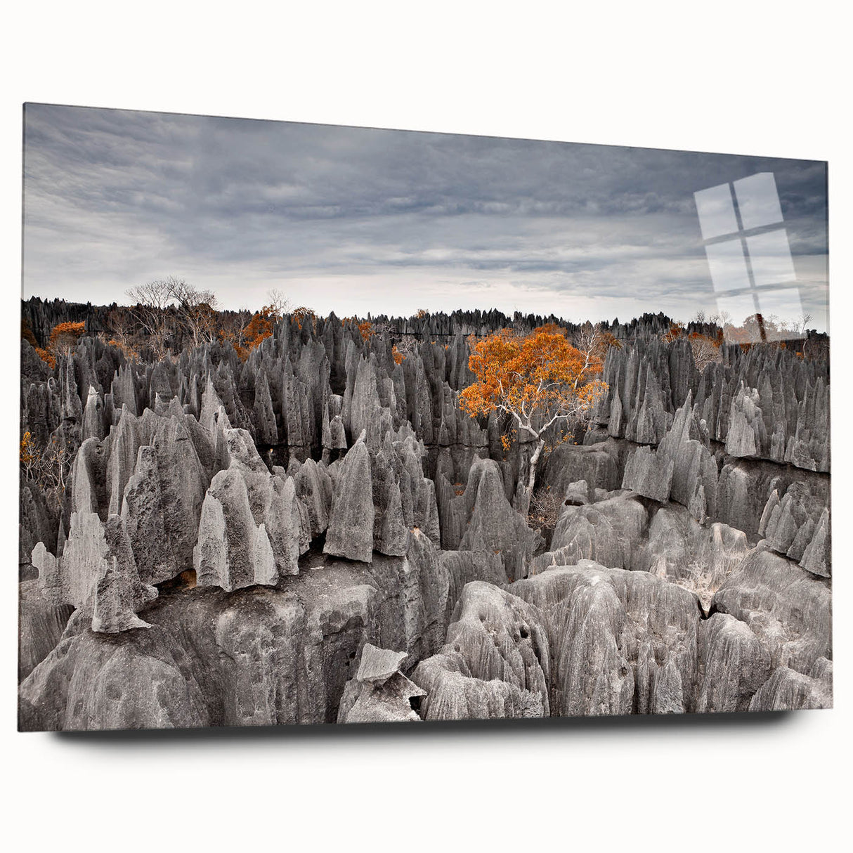 Acrylic print of a large abstract Madagascar landscape in earthy tones, suitable for bedroom or dining room decor.