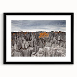 Extra large abstract art print of Madagascar scenery in vibrant colors on a textured canvas, framed in black.