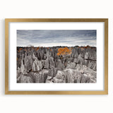 Textured abstract art print of Madagascar scenery in muted earth tones, framed in gold, ideal for bedroom art.