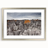 Abstract art print of Madagascar scenery in muted earth tones, silver-framed with mat, suitable for dining room or bedroom.