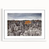 Extra large abstract art print of a Madagascar scenery in textured colors, framed with a white mat.