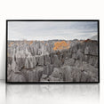 Large abstract wall art depicting the Madagascar scenery in muted earth tones on a framed acrylic.