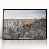 Large abstract wall art depicting the Madagascar scenery in muted earth tones on a framed acrylic.