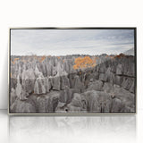 Art deco poster featuring a stylized Madagascar landscape in silver and gray tones on a framed acrylic.