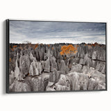 Black and white framed canvas featuring a vintage-style landscape of Madagascar, ideal for bedroom decor.