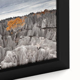 Extra large framed canvas featuring a textured, colorful Madagascar landscape in black, ideal for living room decor.