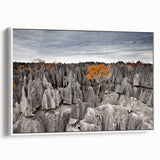Framed canvas depicting a vintage-style Madagascar landscape in black and white tones, ideal for bedroom wall art.