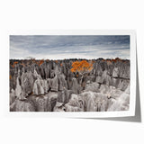 Rolled print of Madagascar scenery with lush floral elements in vibrant greens and blues, ideal for dining room wall art.