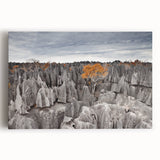 Large black and white canvas print of a Madagascar landscape, ideal for kitchen wall art.