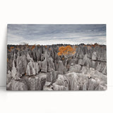 Black and white photo of Madagascar scenery on large stretched canvas, ideal for kitchen wall art or bedroom.
