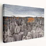 Large canvas print featuring a Madagascar landscape in muted earth tones, ideal for kitchen wall art.