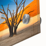 Large abstract wall art depicting a Namibian landscape in muted earth tones on acrylic glass.