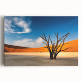 Black and white stretched canvas of a Namibian landscape, ideal for kitchen wall art.