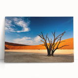 Black and white photograph of Namibian landscape on stretched canvas, ideal for kitchen wall art or bedroom ambiance.