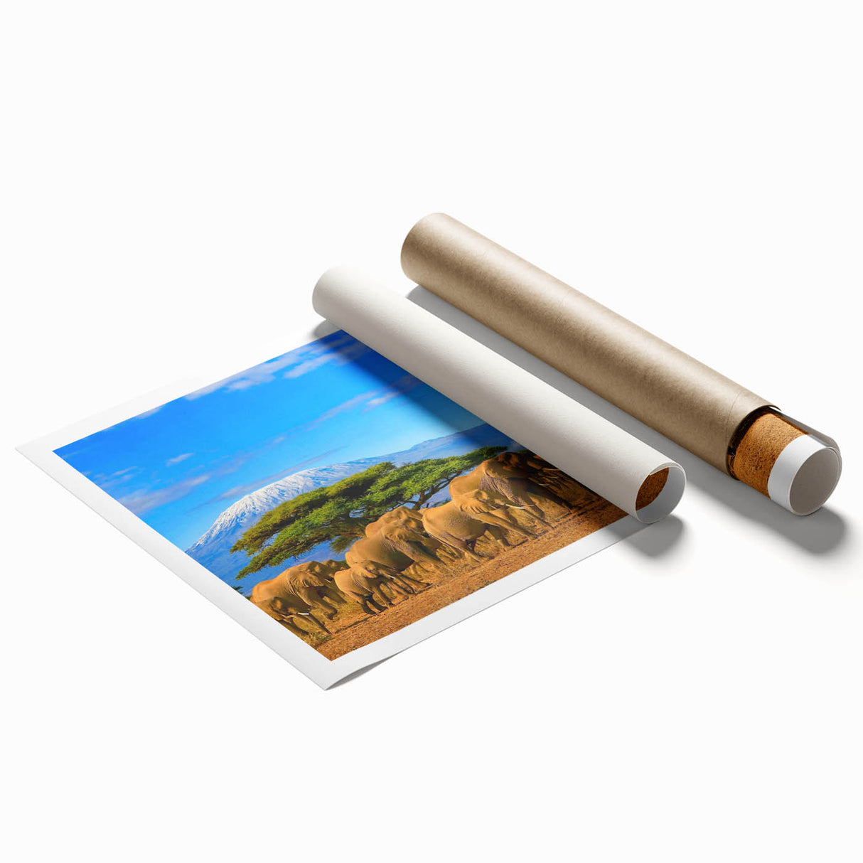 Extra large rolled print of a Tanzanian landscape with vibrant floral elements, ideal for classy bathroom wall art.