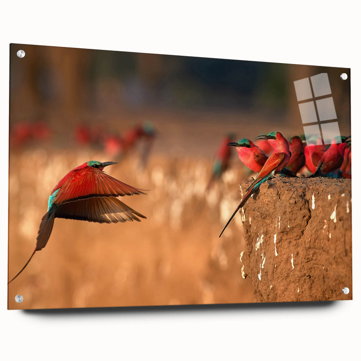 Acrylic print of a large abstract depiction of Zambia scenery in earth tones, ideal for dining room decor.