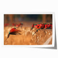 Rolled canvas print featuring a serene African savannah scene with muted earth tones, ideal for art wall dining room.