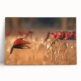 Black and white photo of an African savannah on stretched canvas, ideal for kitchen wall art or bedroom ambiance.