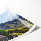 Extra large wall art featuring line art flowers in black on white, ideal for large living room decor.