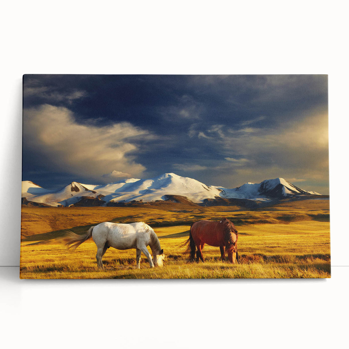 Black and white photo of Mongolian landscape on stretched canvas, ideal for kitchen wall art or bedroom.