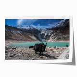 Extra large rolled print of a serene Nepalese landscape with lush floral foreground, ideal for dining room wall art.