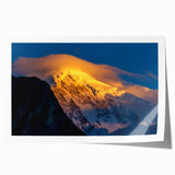 Extra large rolled print of a floral scene in Pakistan, with vibrant green and soft pink tones, ideal for dining room decor.