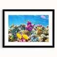 Extra large abstract art print depicting the Great Barrier Reef in vibrant, colorful textures on a framed canvas.