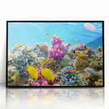 Large abstract wall art of the Great Barrier Reef in vibrant blues and greens on a framed acrylic.