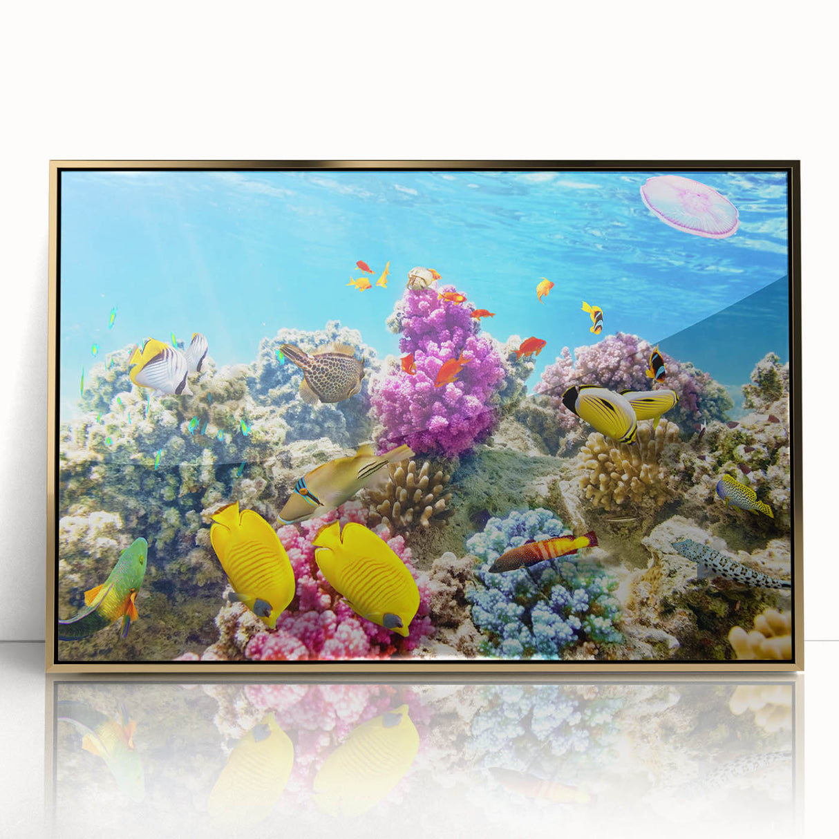 Large art print of the Great Barrier Reef in vibrant blue and green tones, framed in gold acrylic.
