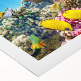 Art deco poster of the Great Barrier Reef in vibrant blue tones on rolled canvas, ideal for dining room wall decor.