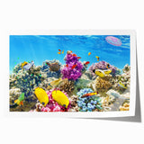 Extra large rolled print of the Great Barrier Reef featuring vibrant blue and green tones, ideal for dining room wall art.