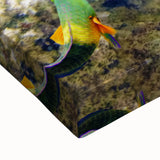 Black and white stretched canvas of the Great Barrier Reef, ideal for bedroom wall art with a landscape theme.