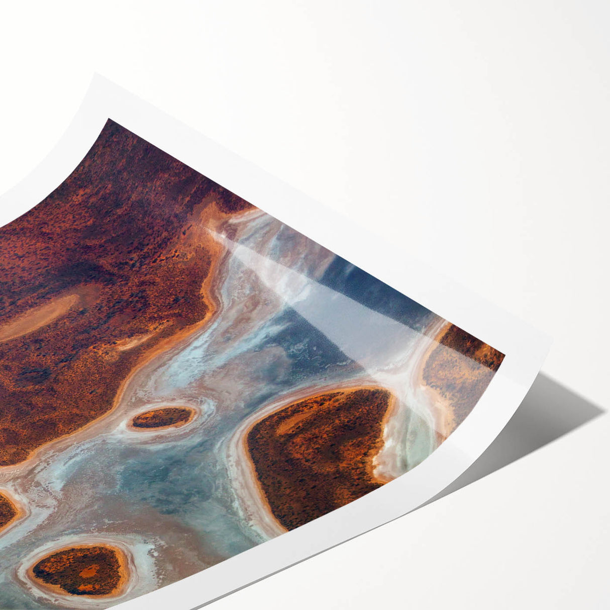 Extra large rolled print of line art flowers in monochrome, ideal for large living room wall art.