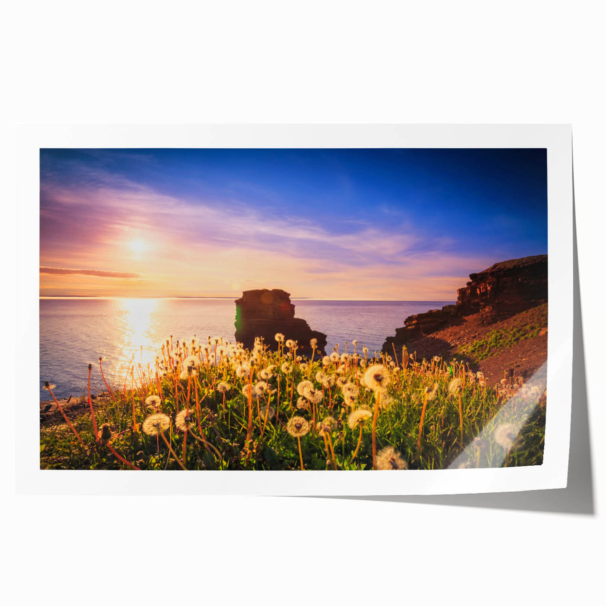 Rolled print of a Newfoundland landscape with muted greens and blues, ideal for art wall dining room decor.