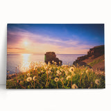 Black and white stretched canvas of Newfoundland scenery, ideal for kitchen wall art or bedroom.