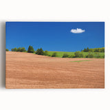 Black and white stretched canvas featuring a serene Prince Edward Island landscape, ideal for kitchen wall art.