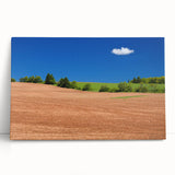 Black and white large scenic photo of Prince Edward Island on stretched canvas, ideal for kitchen wall art.