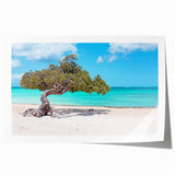 Extra large rolled print of a Caribbean Aruba scenery with vibrant blue and green tones.