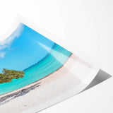 Extra large rolled print featuring line art flowers in soft pastel shades, ideal for large living room wall art.