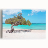 Black and white stretched canvas of a serene Caribbean beach scene, ideal for kitchen wall art or bedroom ambiance.