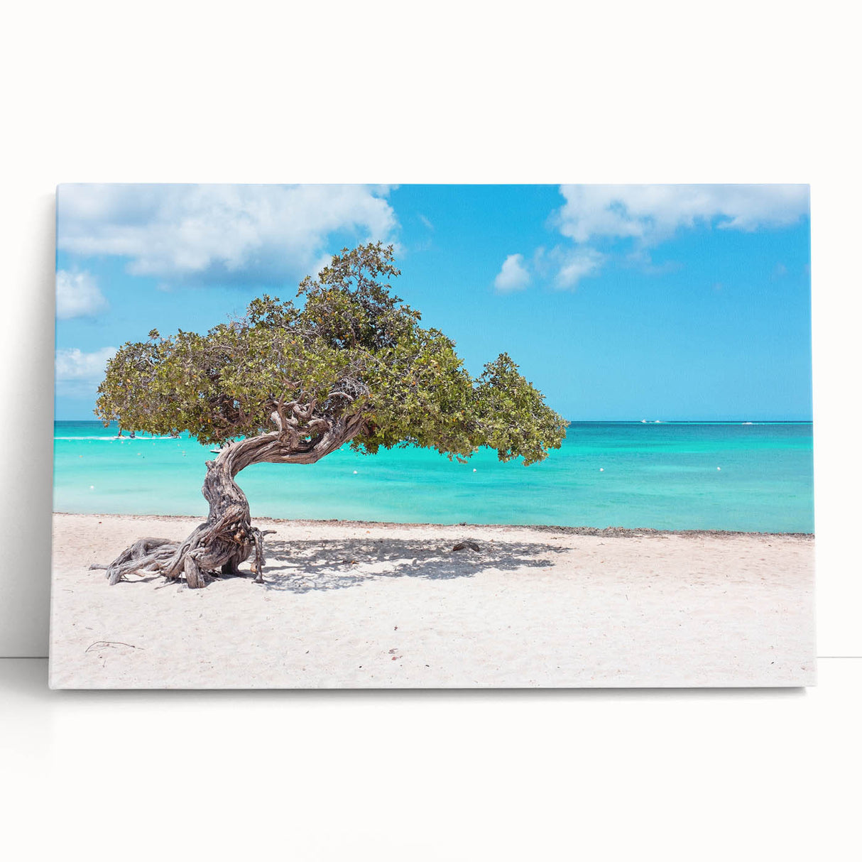 Black and white photo of Aruba scenery on large stretched canvas, ideal for kitchen wall art.