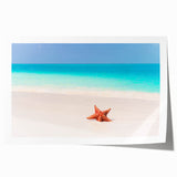 Extra large rolled print featuring a vibrant Caribbean scenery with lush florals, ideal for dining room wall art.