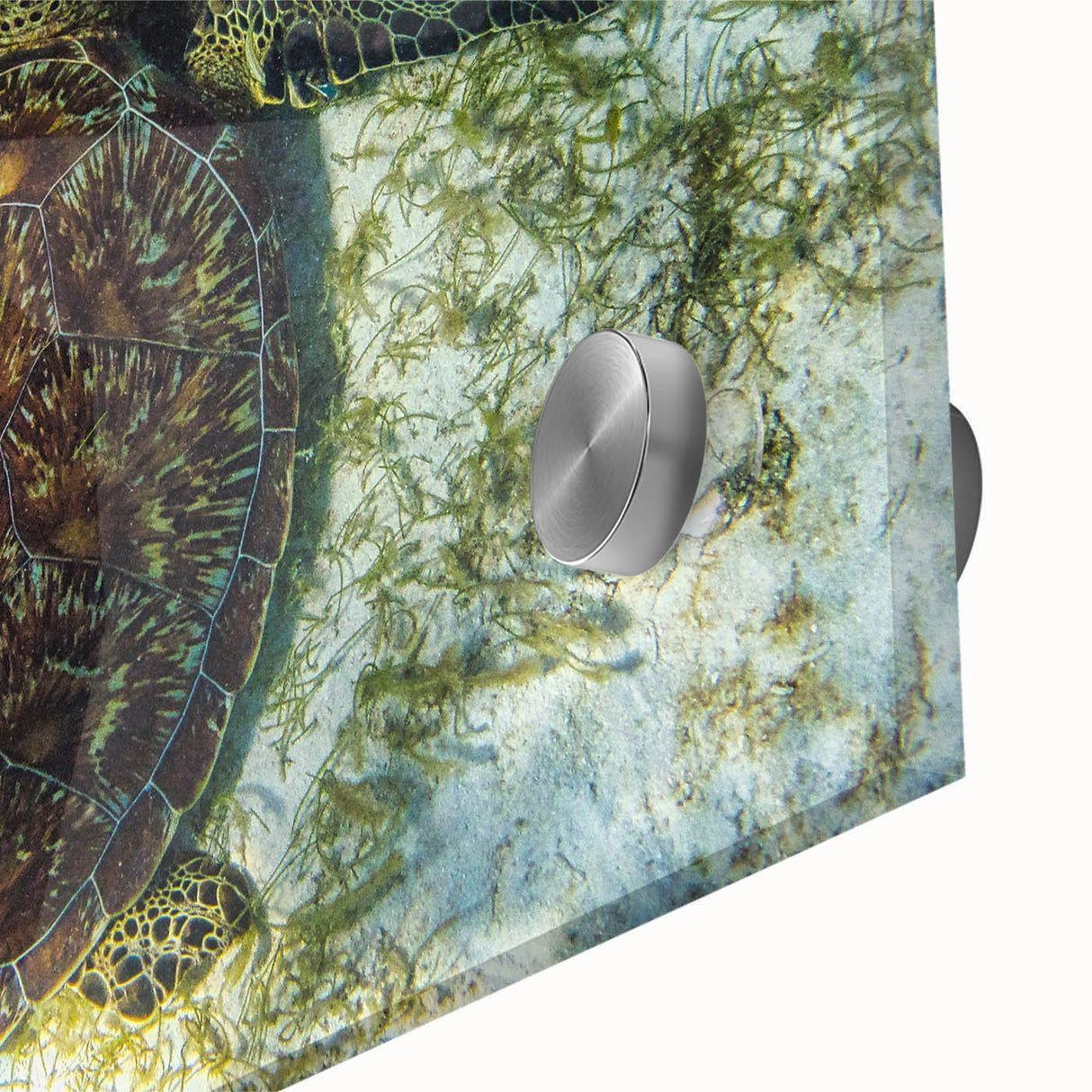 Large abstract wall art depicting Caribbean scenery in vibrant blues and greens on acrylic glass.