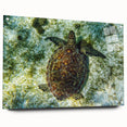 Acrylic print of a Caribbean scenery in Saint Vincent with vibrant blue and green tones, ideal for dining room decor.