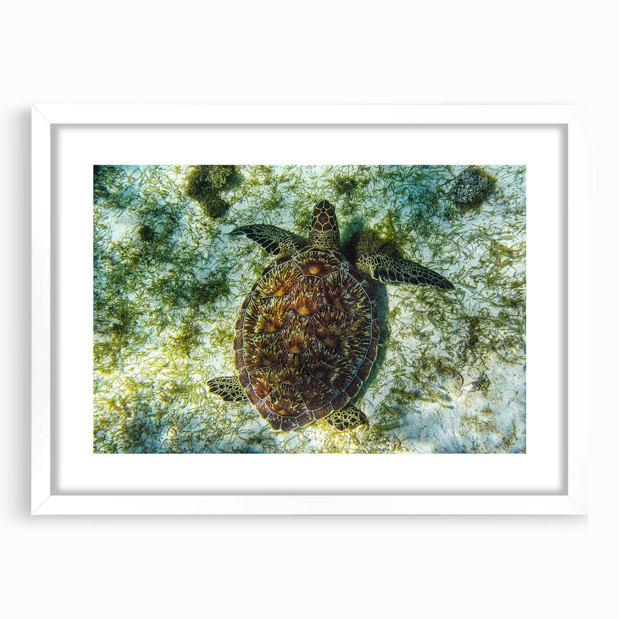 Textured abstract art print of Caribbean scenery in muted blue and green tones on a white framed mat.