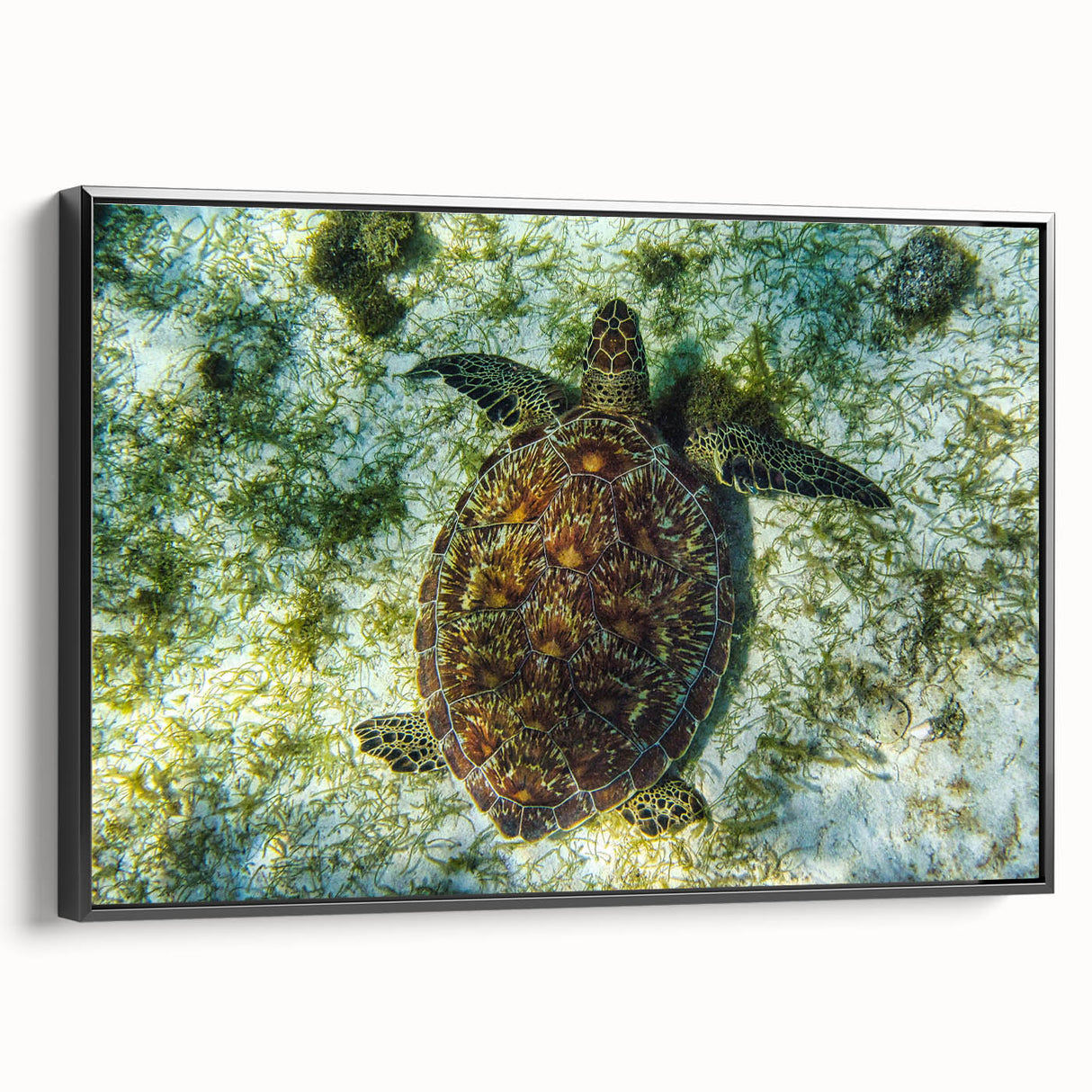 Black and white framed canvas of a vintage Caribbean landscape, ideal for bedroom wall decor.