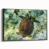 Black and white framed canvas of a vintage Caribbean landscape, ideal for bedroom wall decor.