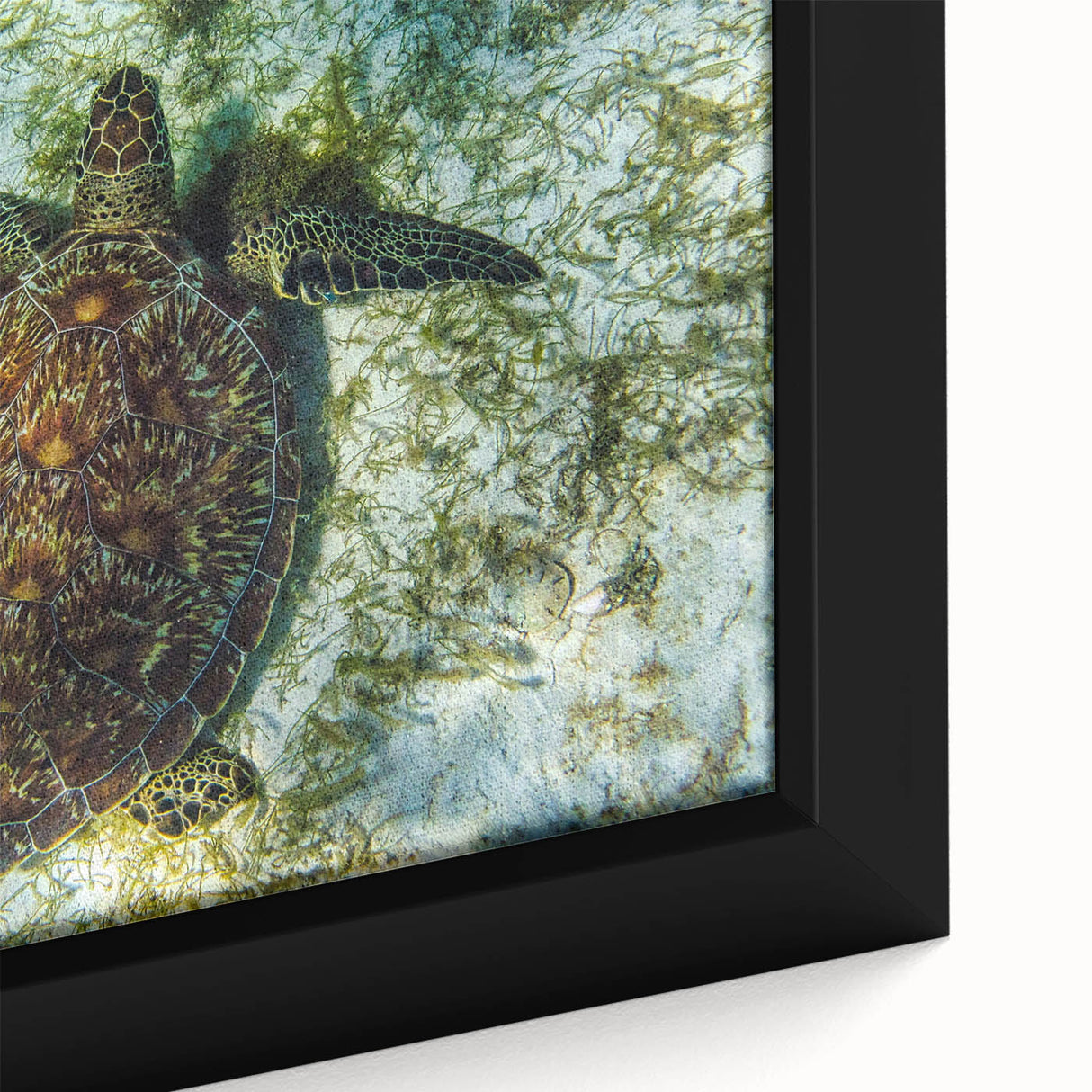 Extra large framed canvas of a textured Caribbean scenery in black with vibrant color accents, ideal for living room decor.