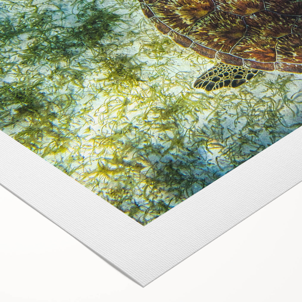 Art deco poster featuring a vibrant Caribbean scenery on rolled canvas, suitable for dining room wall art.