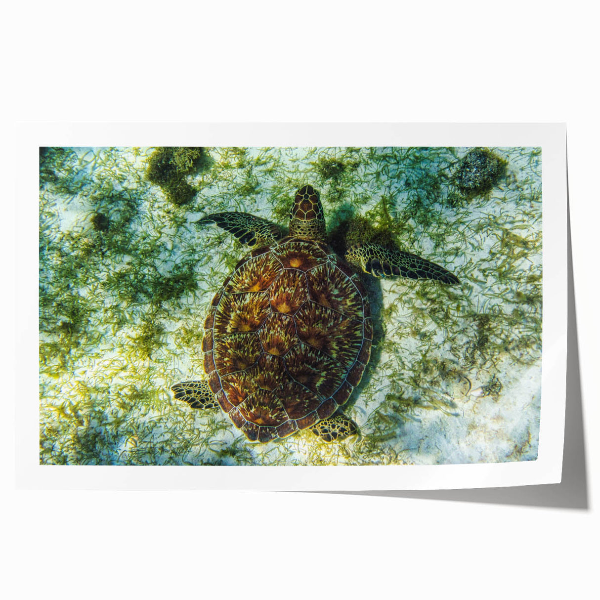 Rolled print of Caribbean Saint Vincent scenery with vibrant green and blue tones, ideal for art wall dining room.